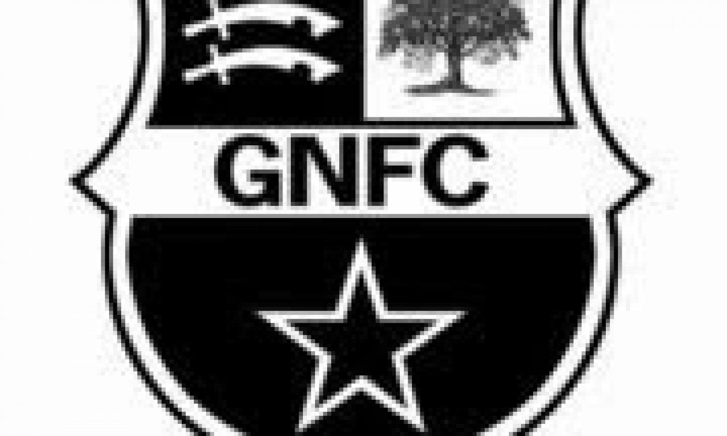 gnfc good